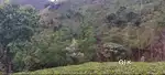 2 Acres of Land in Vagamon