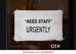 Only Office work , Data Maintenance