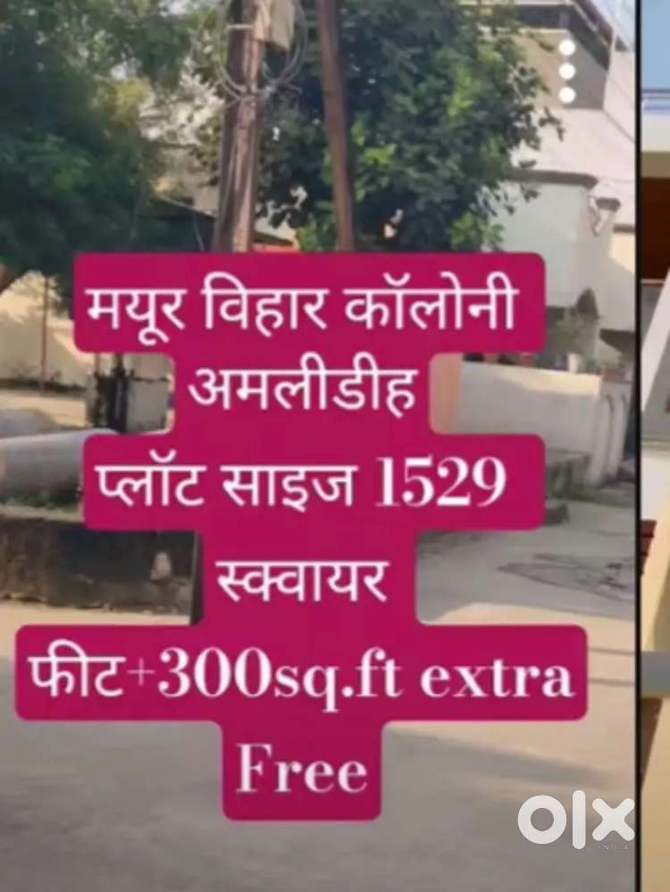 Mayur Vihar amlidhi 1529registry +300extra free