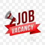 JOB VACANCY FOR ACCOUNTANT