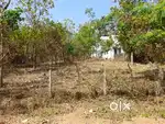1 acre plot for sale