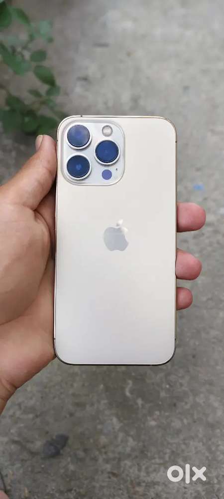 I phone 13 / 256