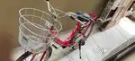 Hero Hero Miss India Gold 24T Utility Bicycle for Girls/Women