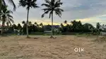 43.5 cents water frontage plot for sale in Ernakulam Vyttila