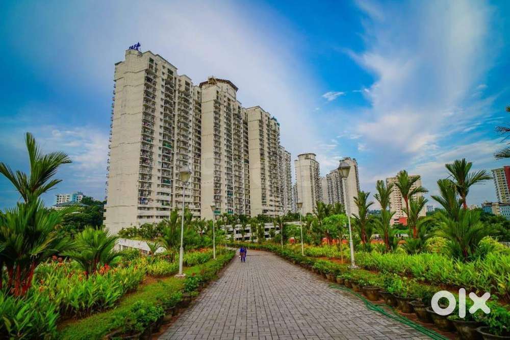 3 BHK PLUS SERVANT 1886 SQFT (URGENT SALE )  DLF