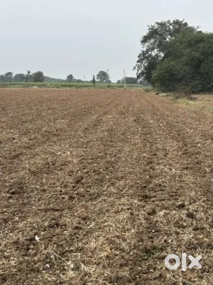 3acers land for sale