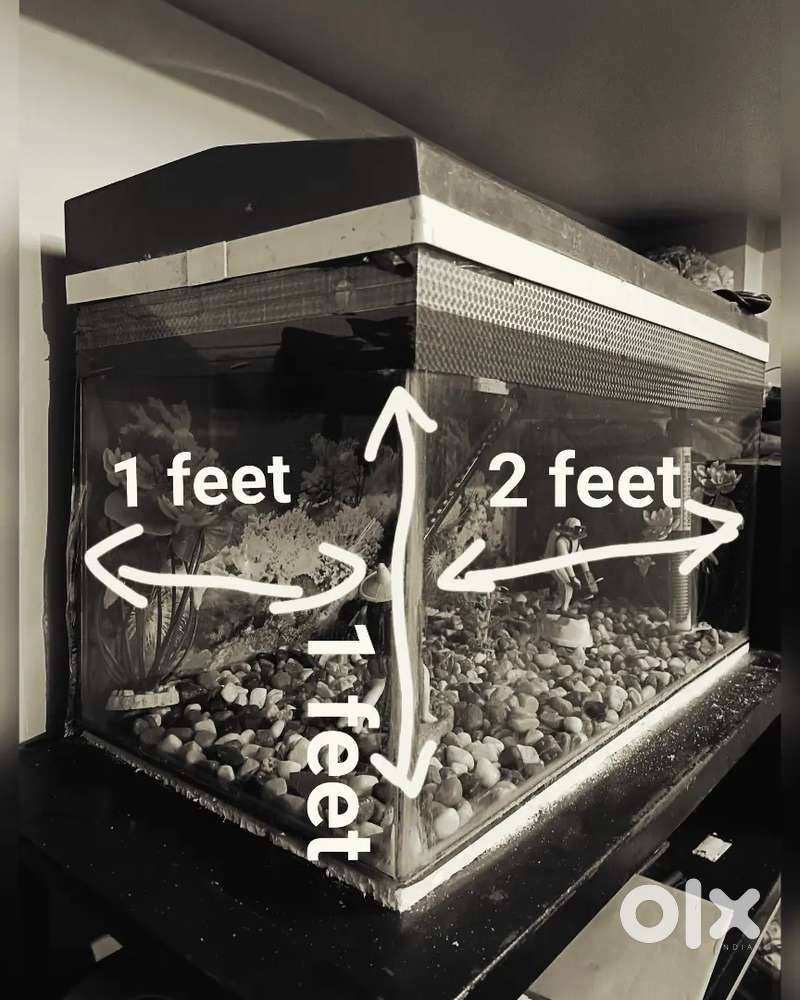 good condition Sell low price like new Aquarium and all accessories