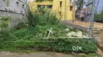Senapathi bagicha plot sell