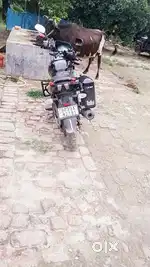 Well maintained and Well condition