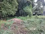 6 cent plot for sale near Aluva Paravur kavala