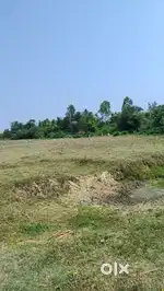 Tajpur sea beach