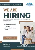 Job Opening – Travel & Visa Executive