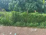 10.250 cent commercial plot for sale at Thiruvankulam.
