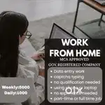 data entry work ( part time job)