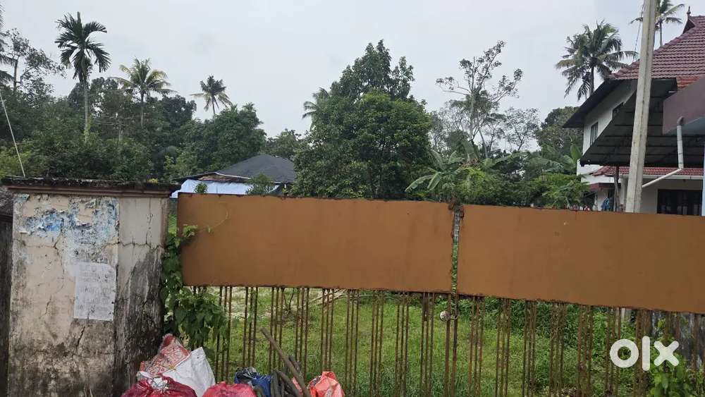 10 cent plot ചേർത്തല നാഷണൽ ഹൈവേ 300 മീറ്റർ മാറി