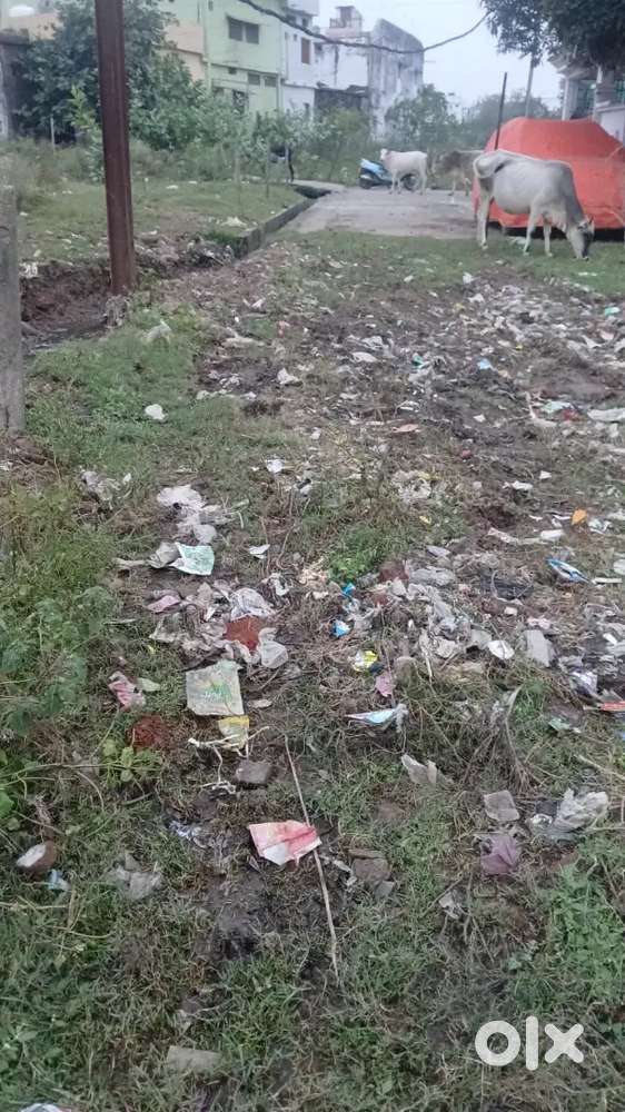 Only 1 km from Itarsi Railway station
Ingal chaal,Gandhi nagar