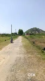 Agriculture
