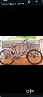 Bsa cycle for sale 3year old