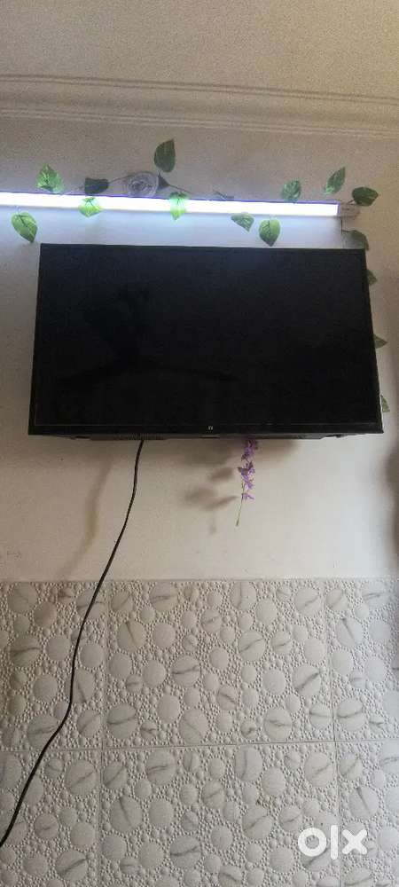 T.V, FRIDGE, SINGLE BED