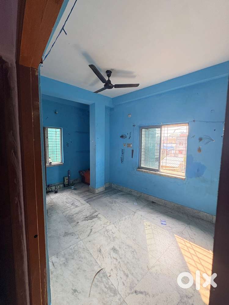 Need a friendly flatmate