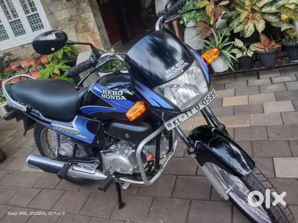 Passion Plus(2004)