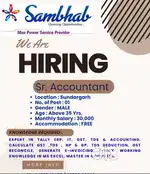 SENIOR ACCOUNTANT JOB IN SUNDERGARH FOR MINING COMPANY