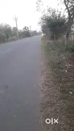 Agriculture land for commercial purpoose