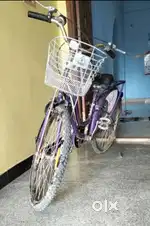 BSA Ladybird Hazel 24T (purble colour)