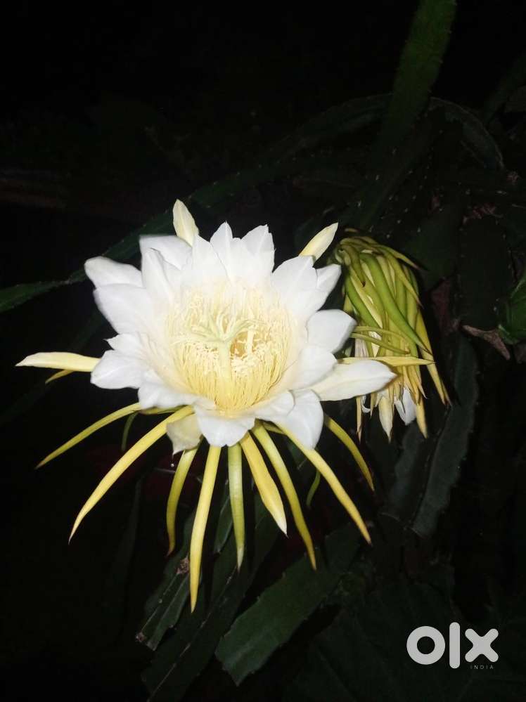 I have experience in waitress i need a job