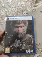 Black myth wukong