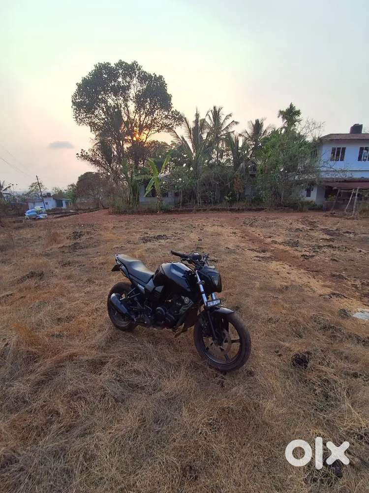 Fz for sale