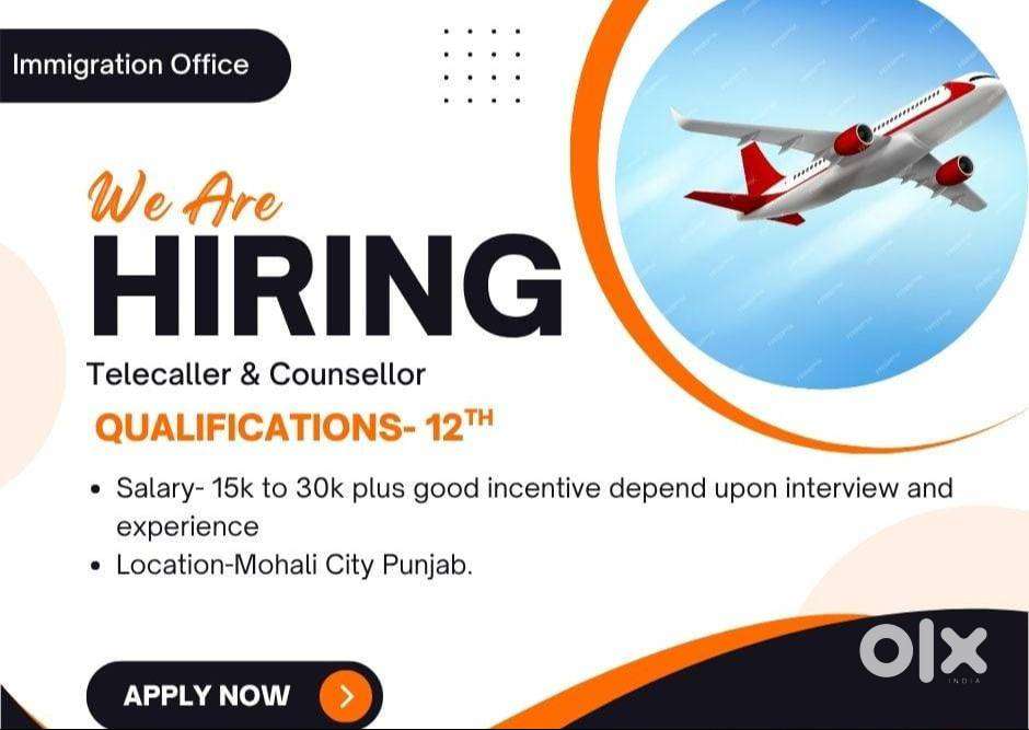 Visa Counsellor