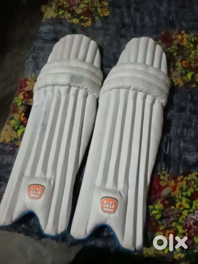 Cricket pads