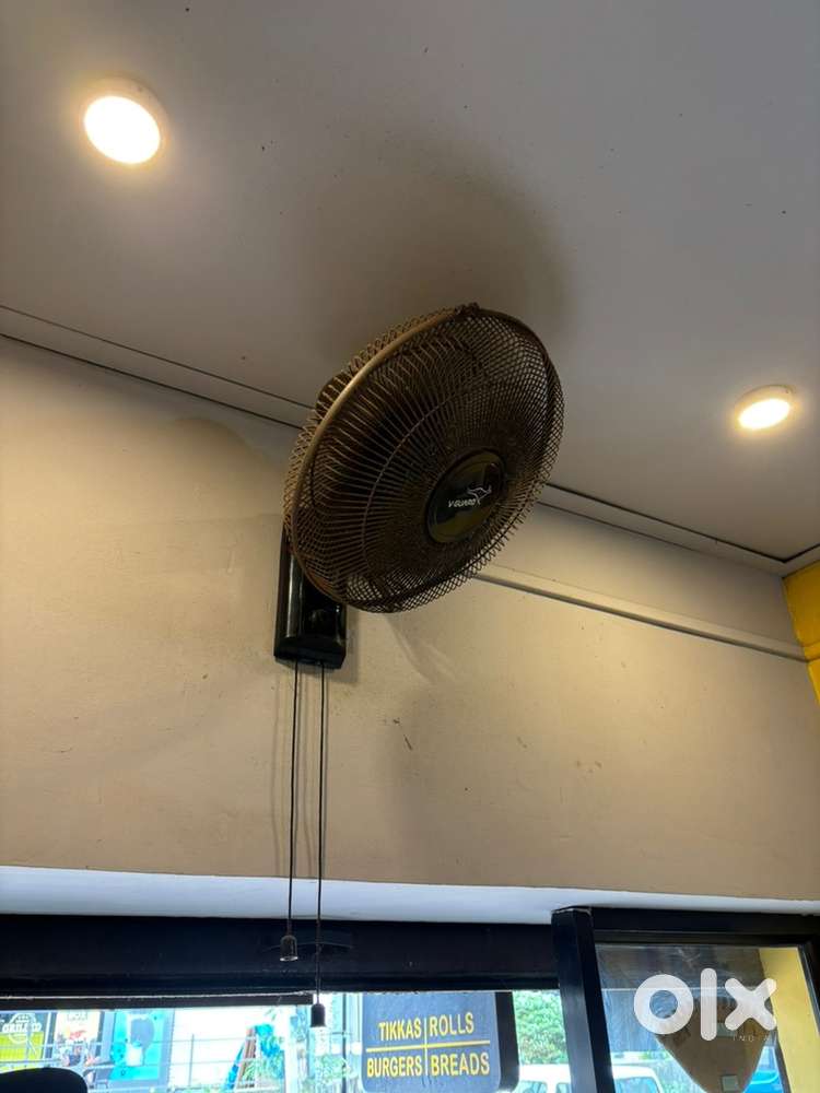 Wall Fan Vguard