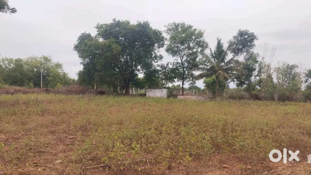 1.5 Acre land for sale