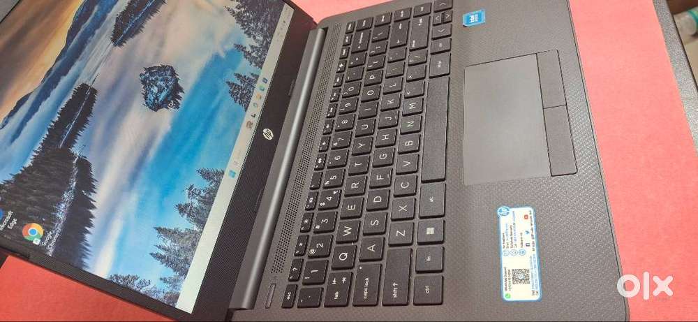 HP-Laptop-256SSD-8GB Graphic, 14.1 Screen-Windows-10 Legal