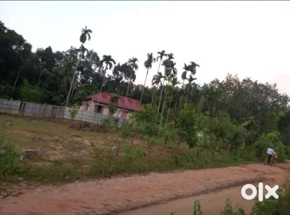 Urgent sale (অতি শীঘ্রই বিক্রি)