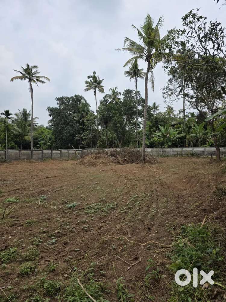 വെള്ളാങ്ങല്ലൂർ അരിപ്പാലം റൂട്ടിൽ 21സെന്റ് സ്ഥലം വില്പനക്ക്