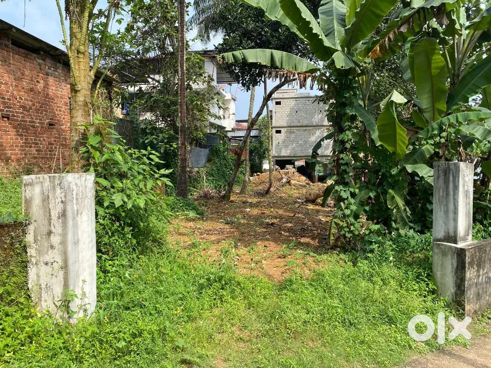 Roadside plot for sale in mallappally