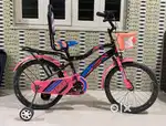 Gently Used Girls' Pink Bicycle – Great Condition!