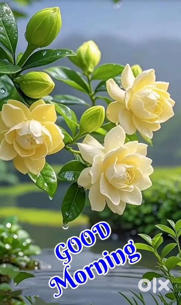 Total 2800 Sq feet  per Sq feet 400