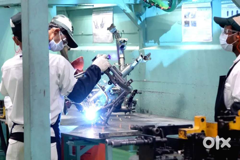 Were hiring freshers for job