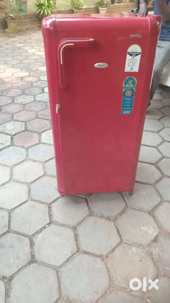 Super condition single door fridge