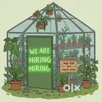 we are hiring professionals