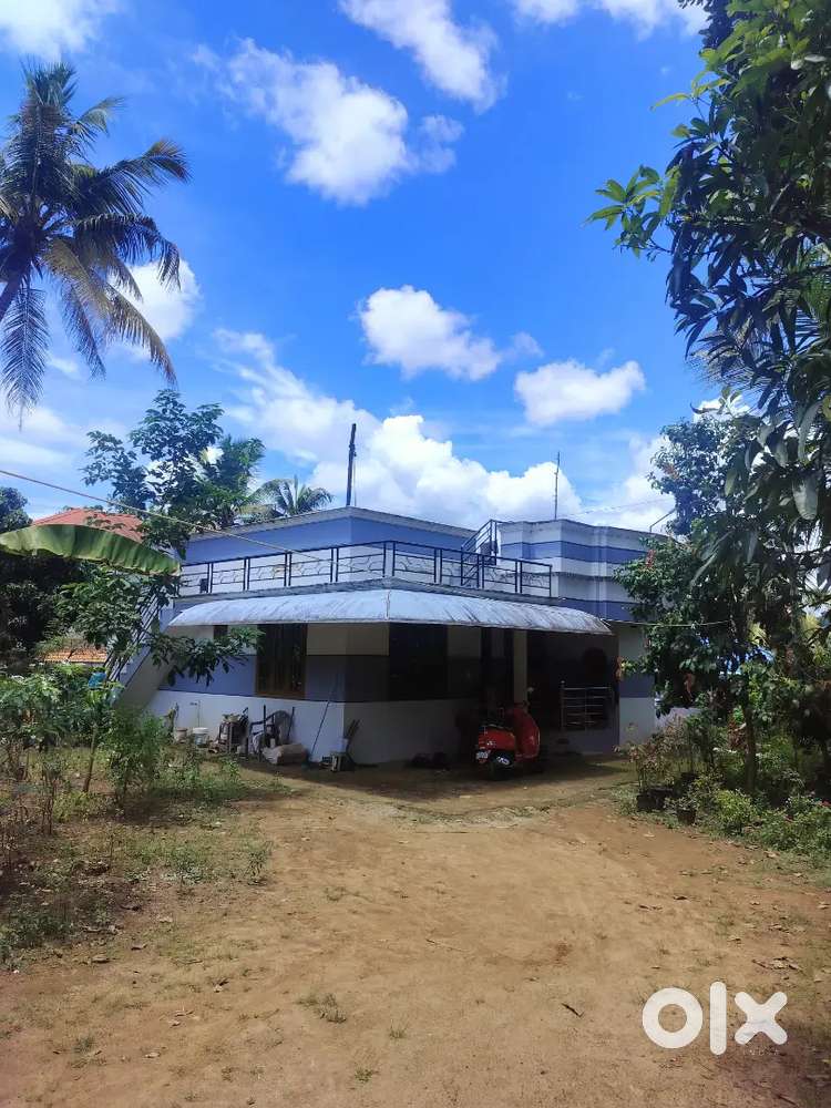 Spacious 14 Cent Plot with 3BHK House - Looking for Immediate Buyers