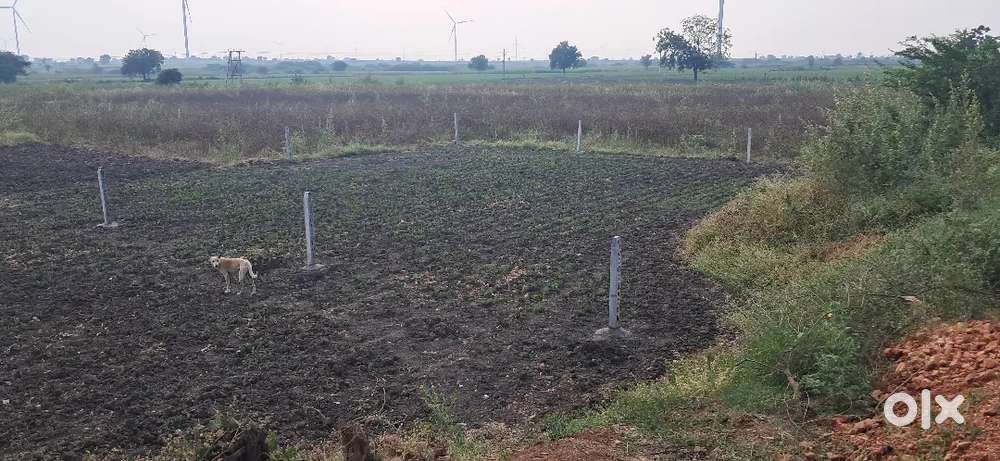 Beside Road Plot For sale Venkatagiri {kodmur }