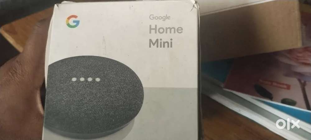 Google Home Mini Assistant