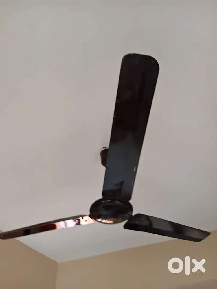 Ceiling Fan Comptron Greaves 56 inch blade