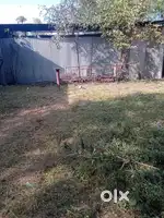 Industrial shed for rent in Kolua Kalan, Geeta Nagar.