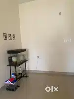 Fish Aquarium